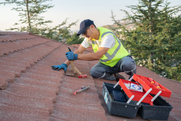 Best Roof Gutter Cleaning  in Capitol Heights, MD